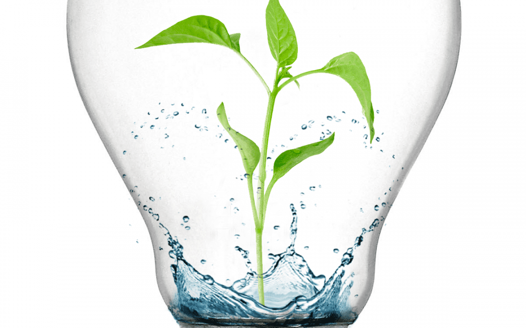 Het kan altijd beter!