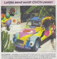 Amigoe: Lelijke eend wordt Chichi-zwaan