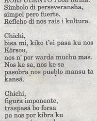Amigoe: Chichi gedicht