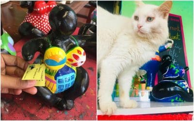 The Chichi® quality management with Justin, The Grumpy Cat!