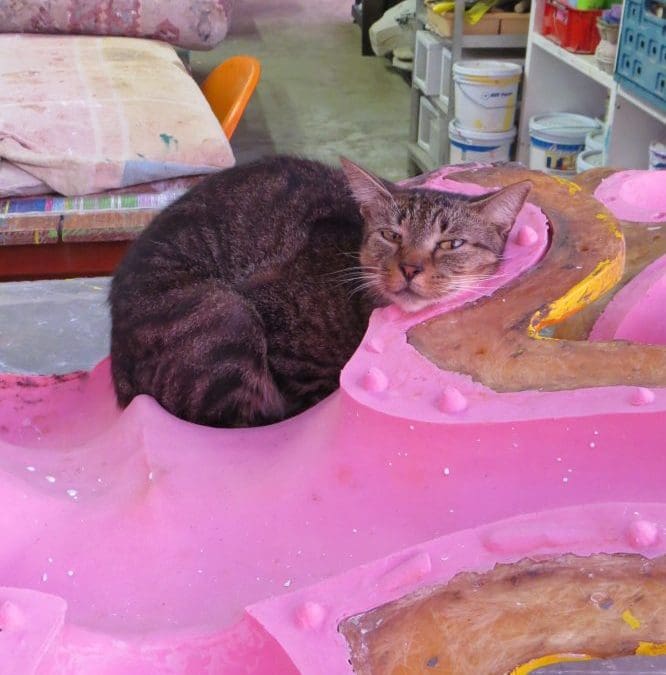 Let’s go through the Chichi ® sanding process, with Boots the cat!