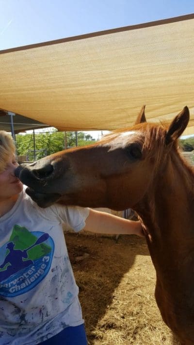Dakota, the awesome therapy horse
