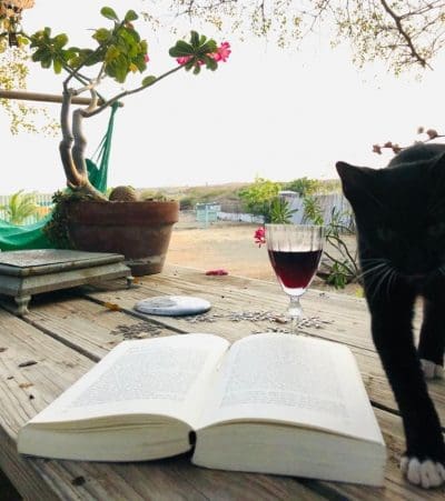 Vierde week thuis werken