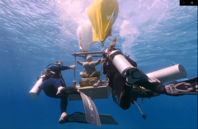 Chichi® duikt de diepte in