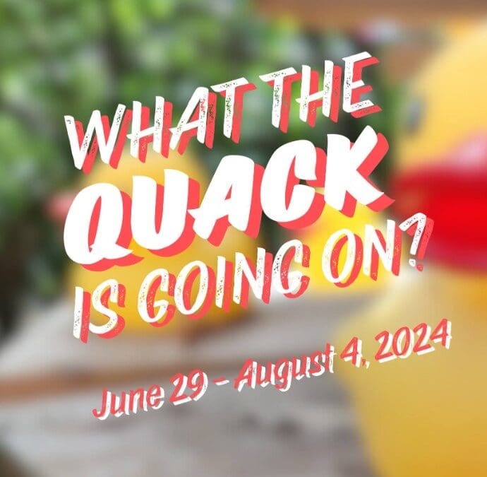 All Hens On Deck! Art Installation