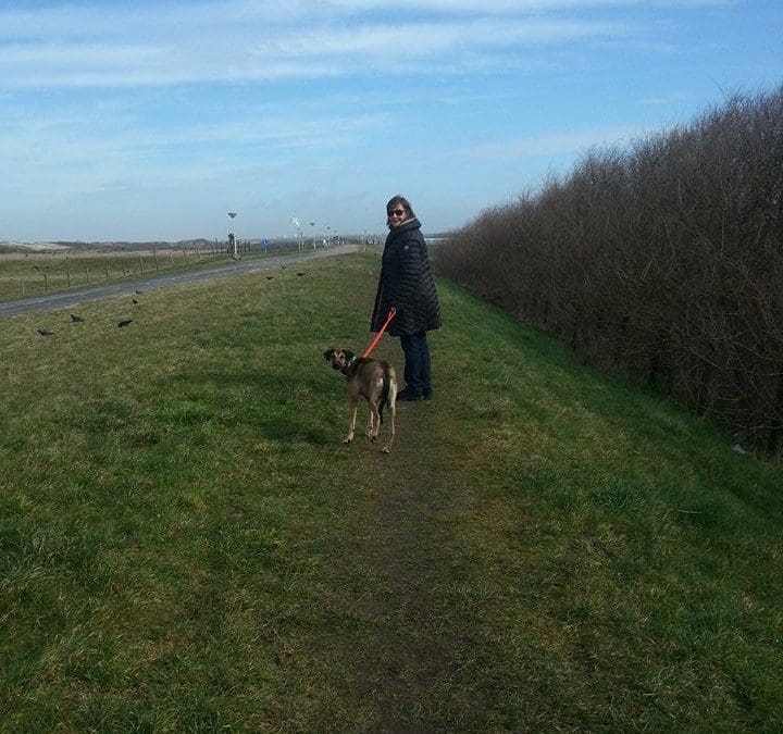 DOG-NEWS 8 maart 2015