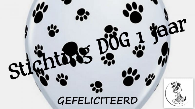 EXTRA DOG NEWS 16 september 2015