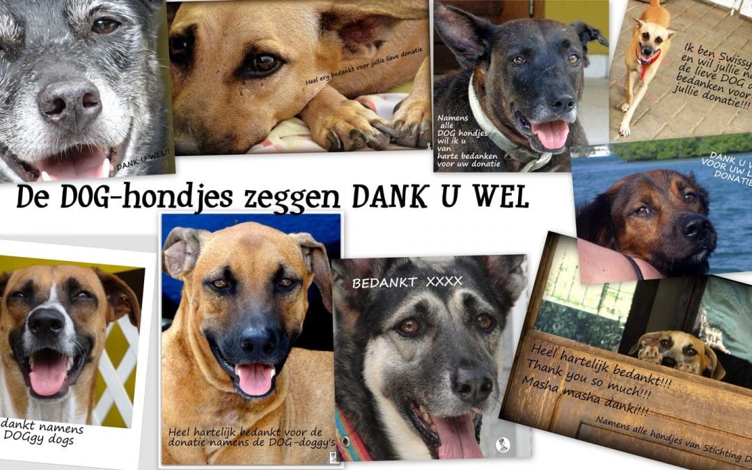 DOG-news 27 september 2015