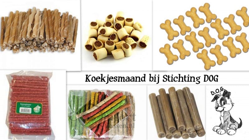 DOG-news 20 september 2015