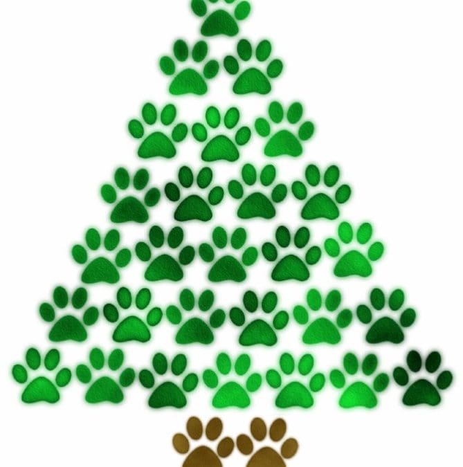 DOG-news 6 december 2015