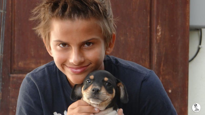 DOG-news 7 februari 2016