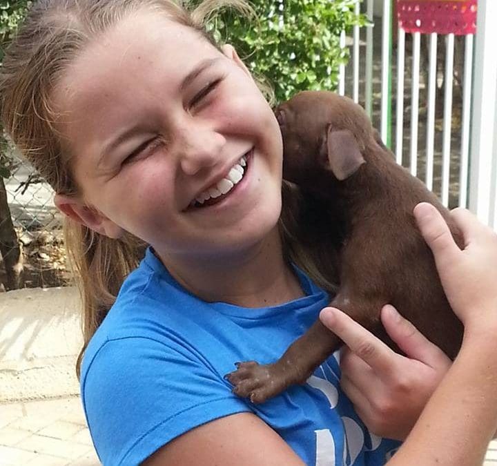 DOG-news 12 juni 2016