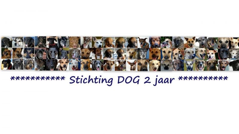 DOG-news 4 september 2016