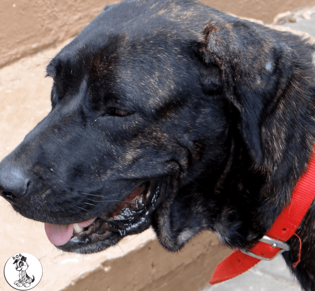 Veerle (mama Veeris)