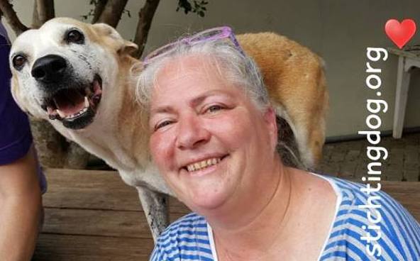 DOG-maandoverzicht mei 2017