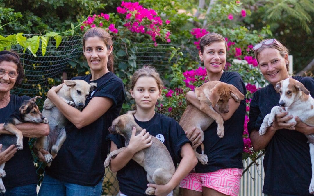 DOG-maandoverzicht september 2017