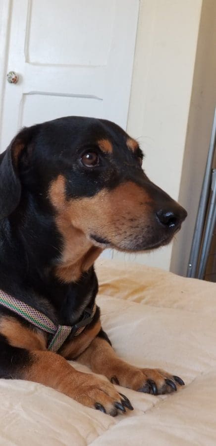 67080006_344825966444351_5285812012054478848_n