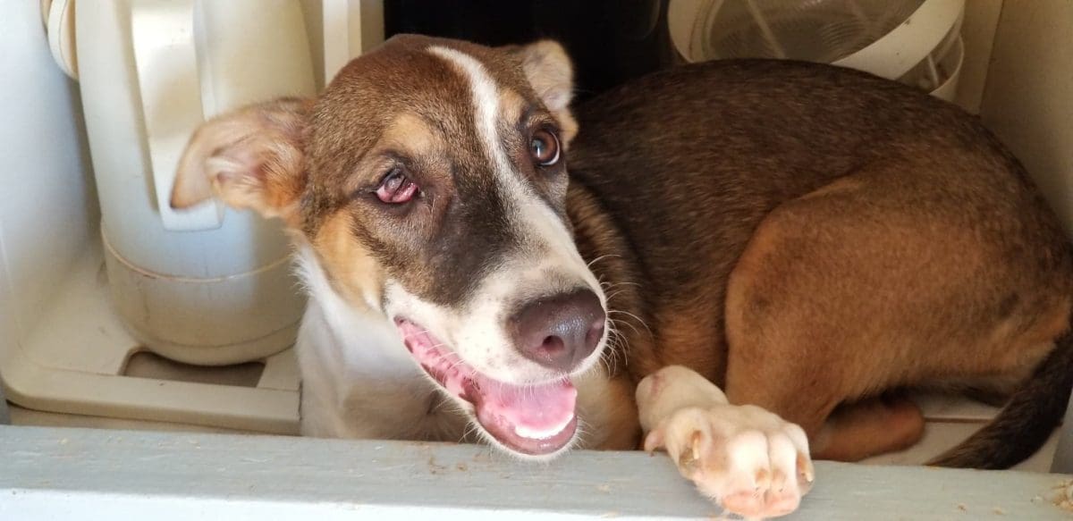 66792984_2332410390363359_4307211925638348800_n