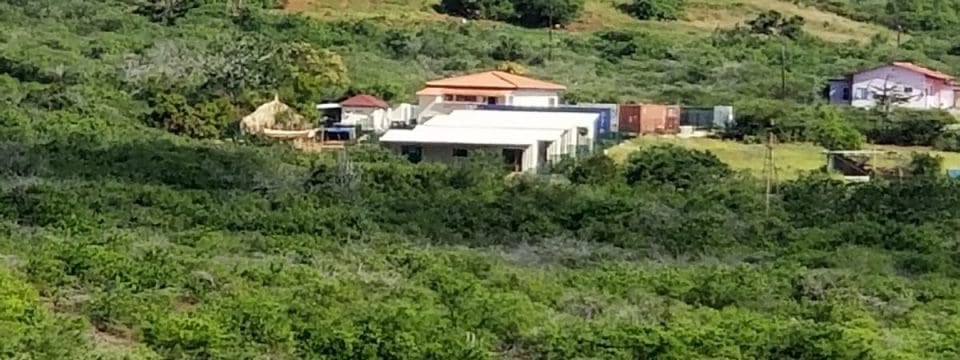 Cora en de Q-pups (Quator, Quatre, Quater, Quattre)