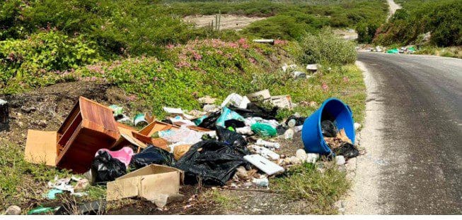 GreenKidz nieuwsaplicatie