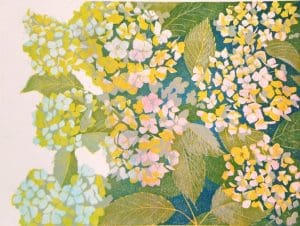 Hortensia, midden links/Hydrangea, middle left