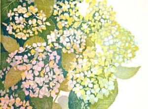 Hortensia, midden rechts/Hydrangea, middle right