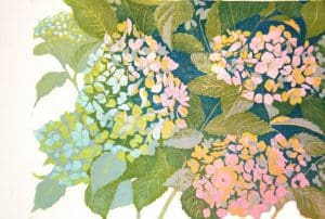 Hortensia, onder links/Hydrangea, bottom left