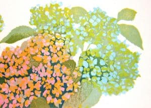 Hortensia, boven rechts/Hydrangea, top right