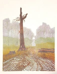 Boekesteijn, kraamkamer van de rosse vleermuis/Boekesteijn, bat's delivery room