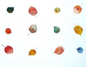 Chinese lantaarntjes/Chinese lanterns