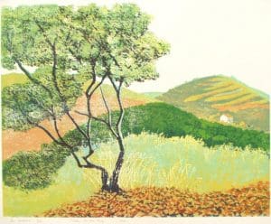 De kurkeik / The cork oak