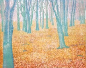 Blauwe beuken / Blue beech trees