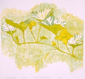 Lichtvangers / Light catchers