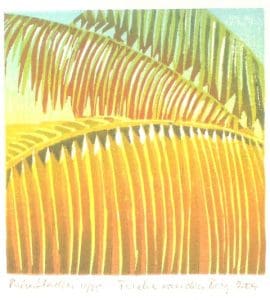 Palmbladeren / Palm leaves