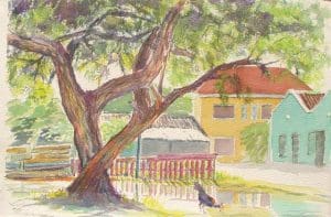 Scharloo, na de bui / Scharloo, after the shower