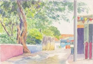 St. Jago Indjuboom / St. Jago Indju tree