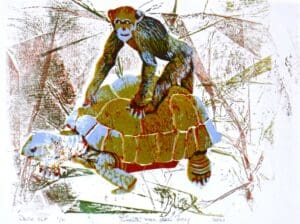 dolle rit/crazy ride