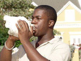 Karkó – schelphoorn