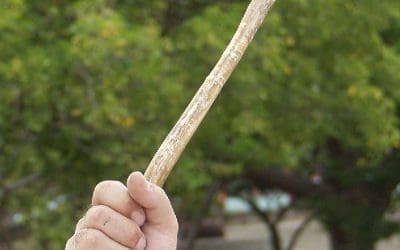 Herensia di sklabitut (2): Bulpes (2003)