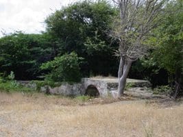 Rito i kustumbernan relashoná ku morto den tempu di katibu