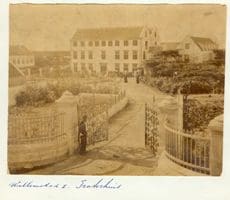 Un tesoro públiko di portrèt awor ta habrí